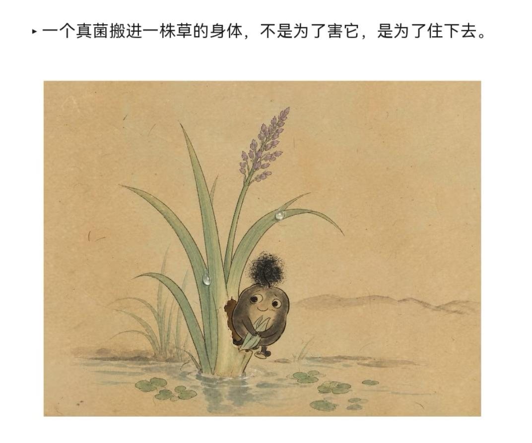 水墨插画：一株开花的菰旁边，站着一个拟人化的黑色小菌灵