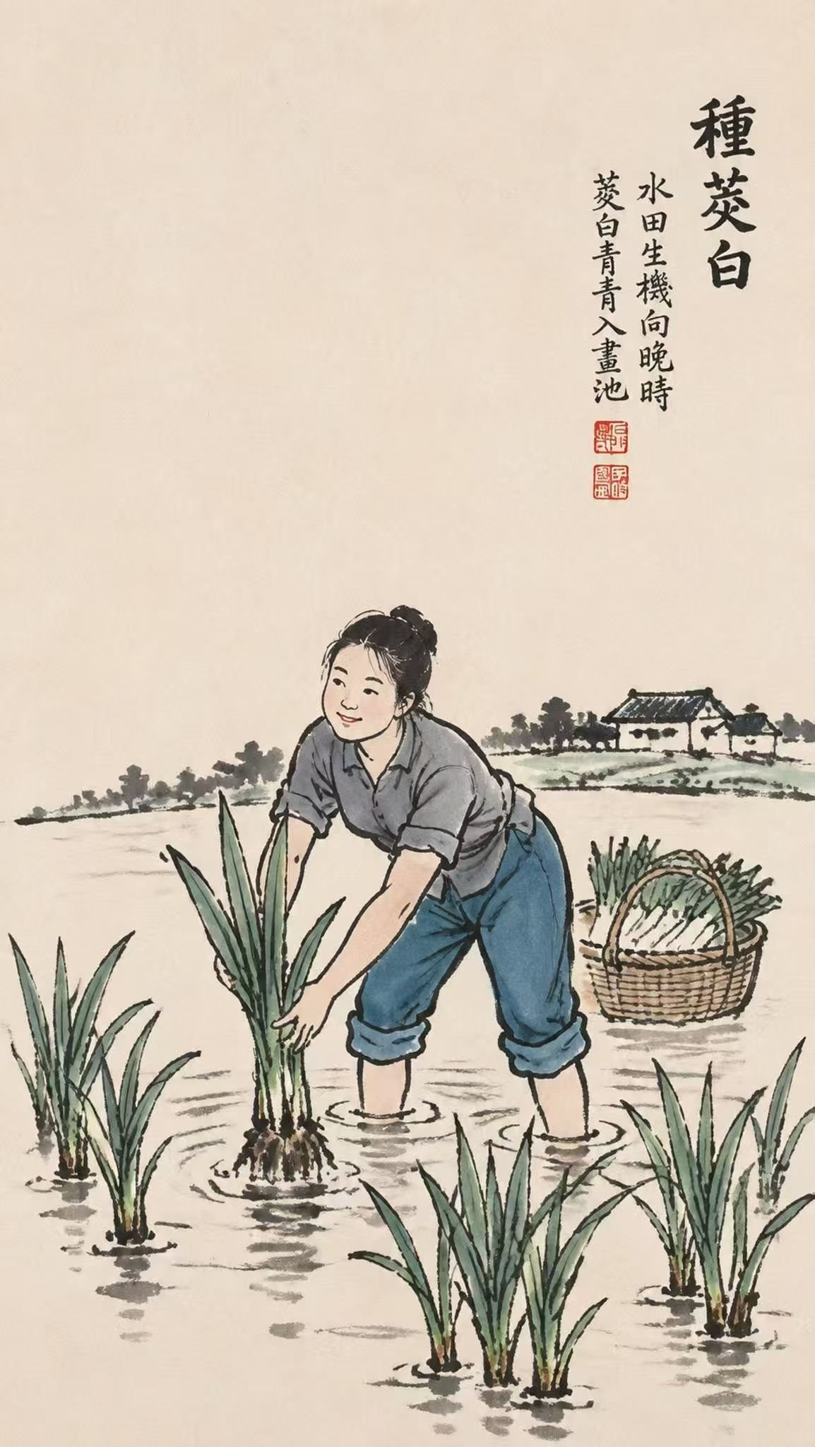 水墨插画：女子挽着裤脚站在水田中插茭白苗，田边放着一篮秧苗